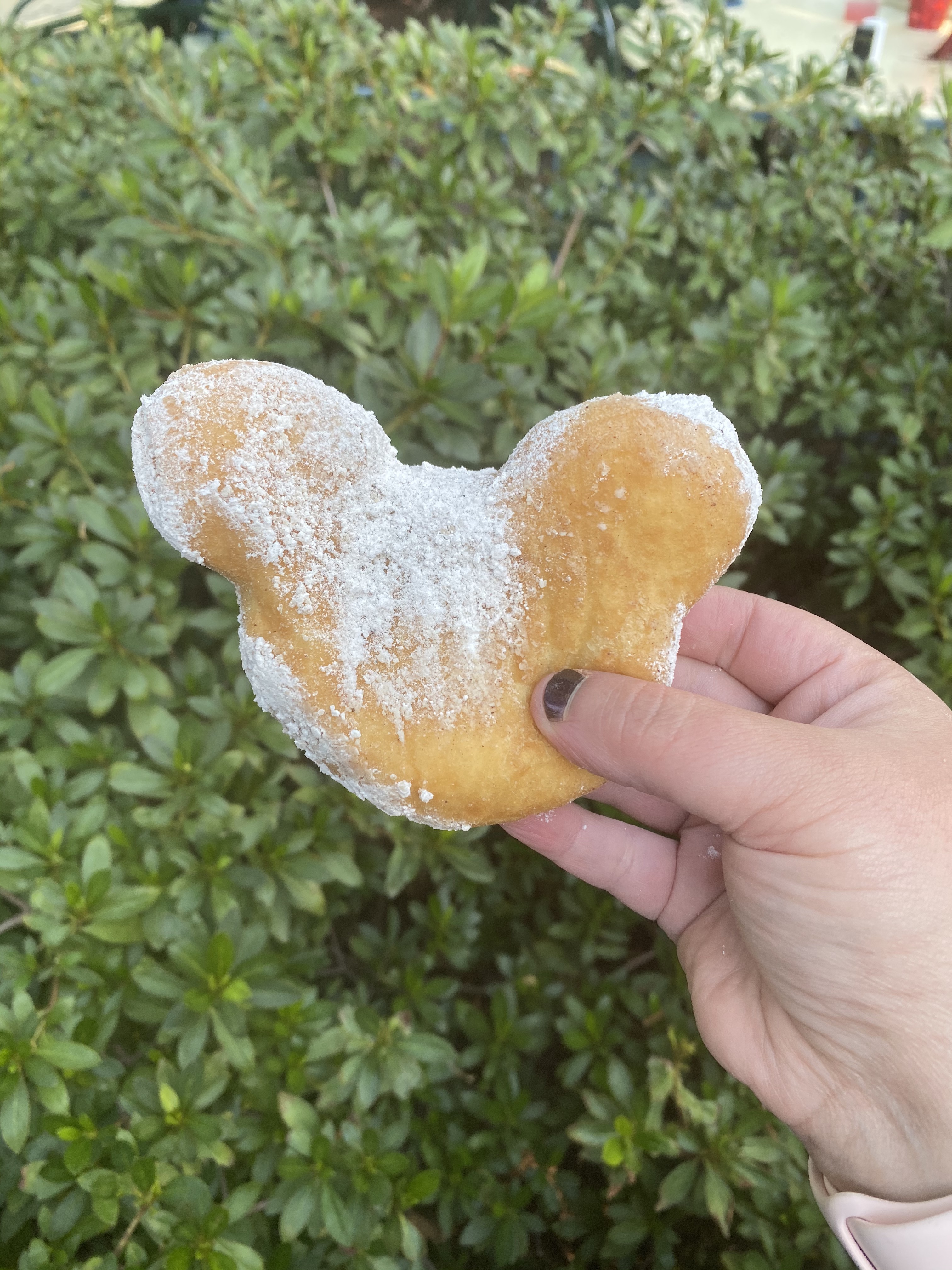 Pumpkin Spice Mickey Beignets