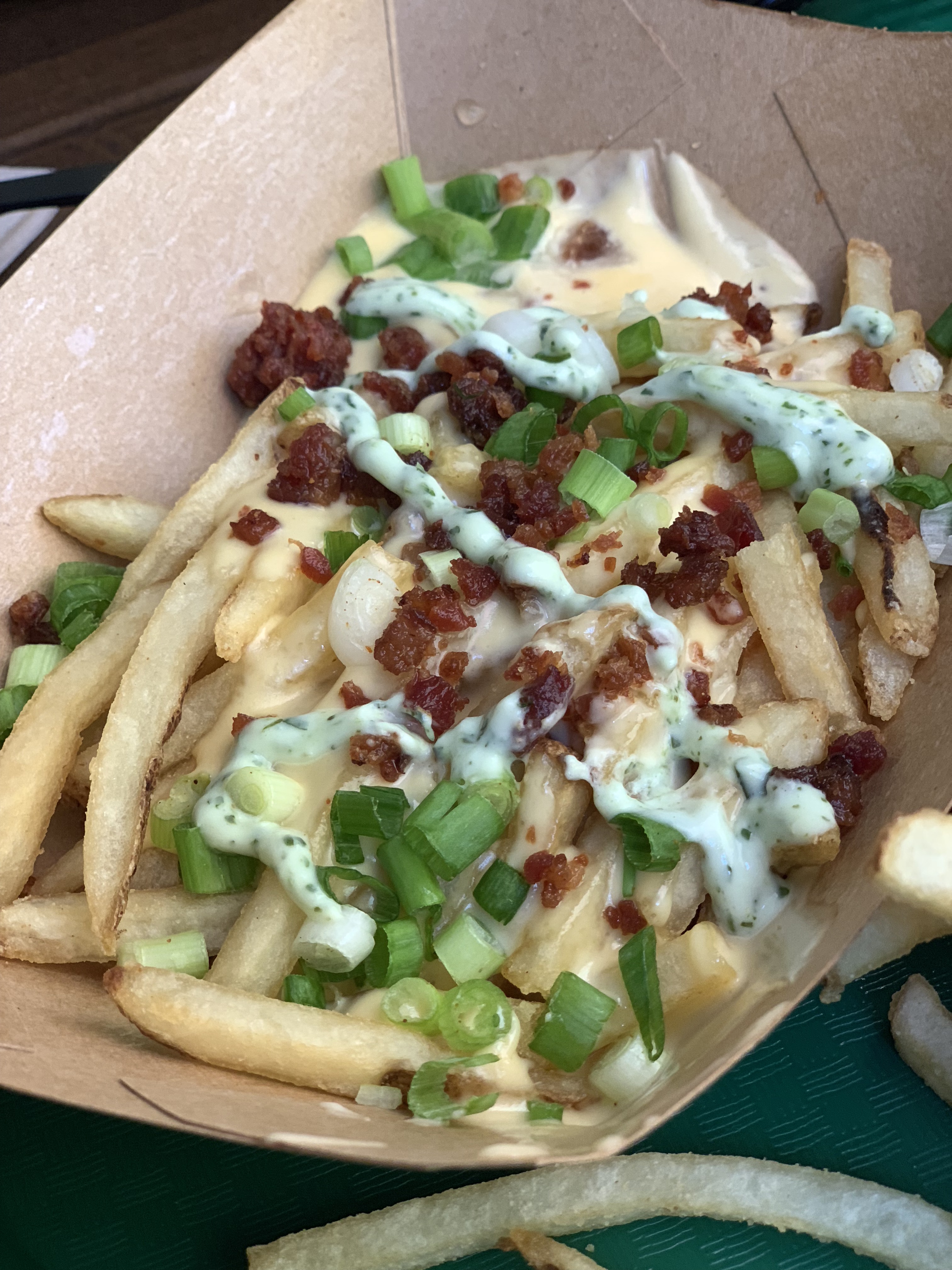 loaded fries from hungry bear disneyland disney food blog