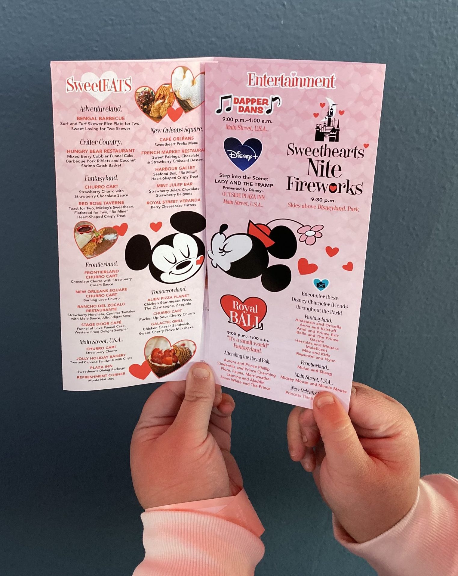 Disneyland After Dark Sweethearts Nite Map