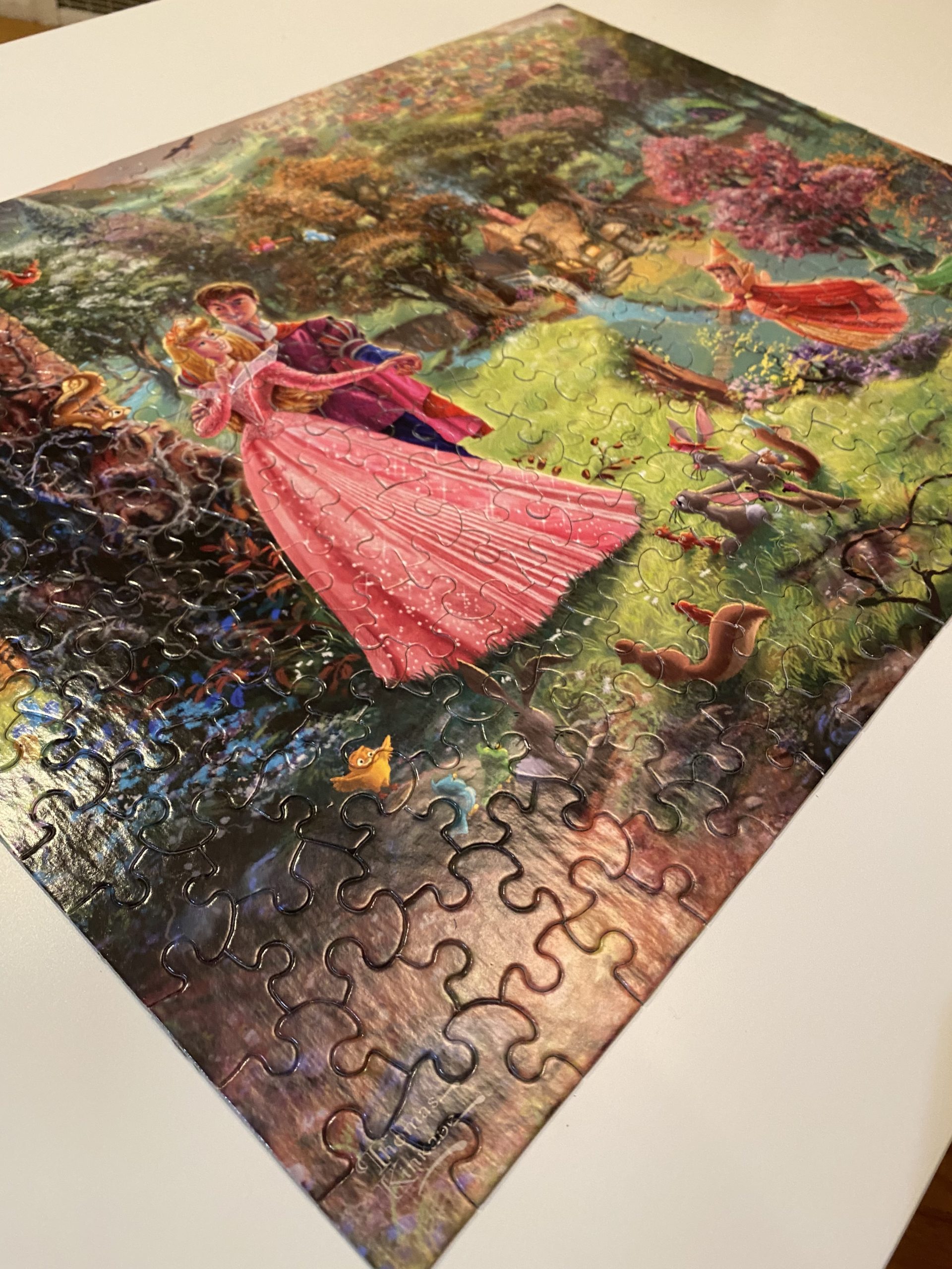 Sleeping Beauty Puzzle