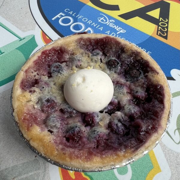 BlueberryButtermilk Pie Berry Patch Jacqueline's Journey